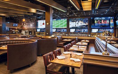 Audio and Video System for your Restaurant or Bar
